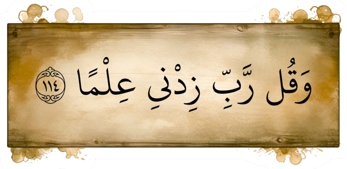 Begin Your Journey with the Qur’an Today